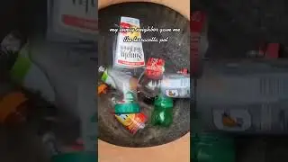 Cactus Life Tiktok oursunnycasa