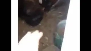 Чеченцы прикол