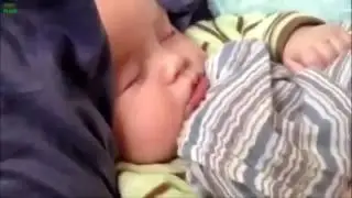 Дети и животные, смешно