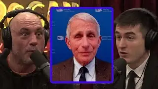 ChatGPT Tried To Criticize Fauci And Its Opinion Evolved Before Their Eyes