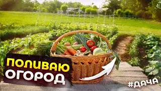 КАК ПРАВИЛЬНО ПОЛИВАТЬ ОГОРОД? 💧 Мои секреты идеального полива и ухода за дачей 🏡🌱