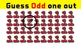 Can you find the #odd #snake  one out? #findtheoddemojiout #challenge by @Insightbuzz