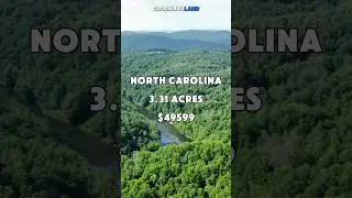 3.31 acres in North Carolina for $49599 #shorts #fyp #realestate #land #realtor #foryou #sale