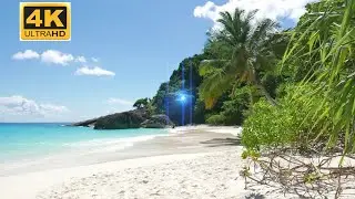 Sleepy Ocean Waves Sounds for Deep Sleeping   Ocean Sounds for Deep Sleeping