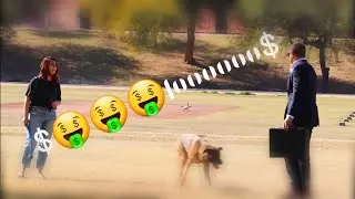 مقلب شراء كلب مقابل مليون دولار من ناس في الشارع مترجم🤑🤑مقالب بيغ داوس مترجمة جديد بيغ داوسن مترجم
