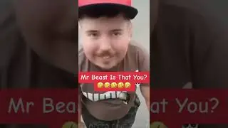Mr beast