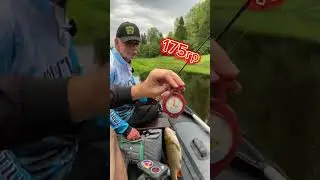 Итоги конкурса с Константином Кузьминым!