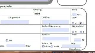 SOLICITUD DE EMPLEO DE LLENADO PDF