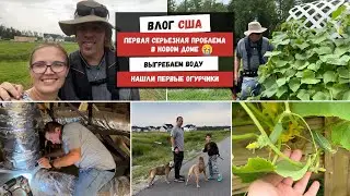 Первая Серьезная Проблема в Новом Доме | Выгребаем Воду | Нашли Первые Огурчики