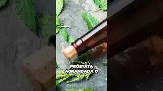 La Hortiga el remedio natural para tratar problemas de próstata #shorts