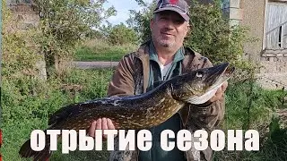 Trophy pike on a spinning rod. Catching trophy pike on rubber lures.