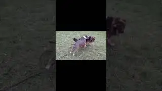 Игры и контроль