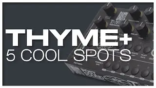 Bastl Instruments THYME+ 5 very nice spots (on piano, drums, mix, 303, clouds/monsoon)