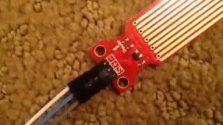 Arduino Water Sensor Set Up and Programming