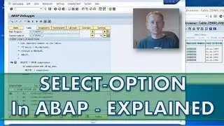 SAP ABAP Select Option fields - LOW and HIGH fields