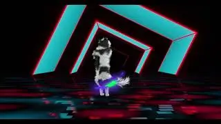Cat Dancing With VJ Looping | Dance Together For Morning Routine
