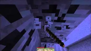 The 
