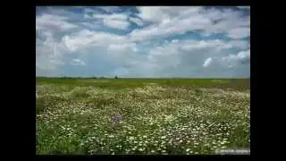 Июльское лето    исп Анна Семенович