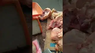 jual ayam di kota lubuk linggau
