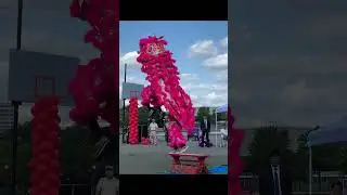 New York Lion Dance Competition Nam Pai Academy #liondance #mualan #舞狮