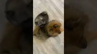 Mother and daughter time