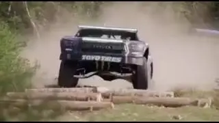 Dani el pro