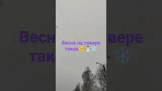 весна на севере. май 2024