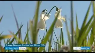 France 3 An taol lagad - Faune et flore des Glénan