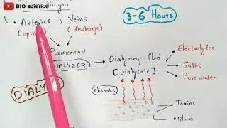 What is dialysis | Dialysis procedure | Bio science