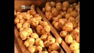 Come è fatto - Occhiali Granito Patatine Microprocessori