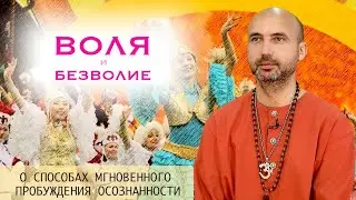 Воля и безволие