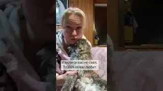 Больше интересного и подробности в инст animal_tsarstvo 