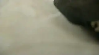скример о слизни людоед монстр 💀🔥
