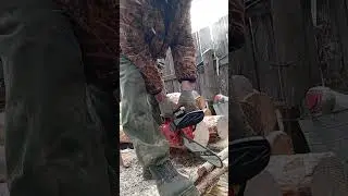 Одноручная бензопила DDE DS-250 В работе