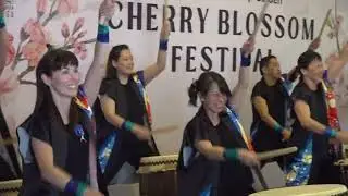 Cherry Blossom Festival in San Diego