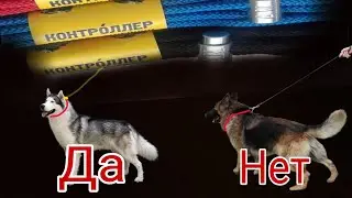 Поводок Контроллер Антуана Наджаряна