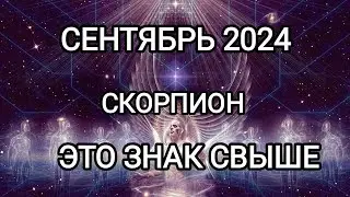 СКОРПИОН 🦂 СЕНТЯБРЬ 2024 🍁 Тароскоп.