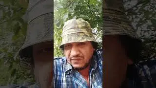 5 сентября 2024 г.
