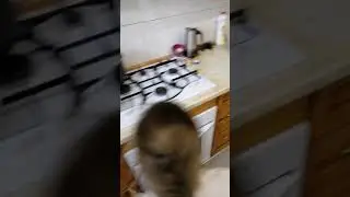 Как закипятить воду! Самый быстрый способ!