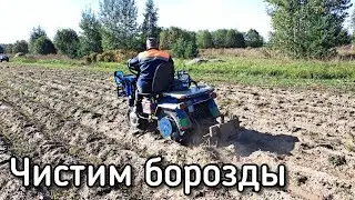 УБОРКА КАРТОФЕЛЬНОЙ БОТВЫ, МОТОБЛОК МТЗ БЕЛАРУС