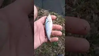 Открыл сезон💪👍🤘🎣