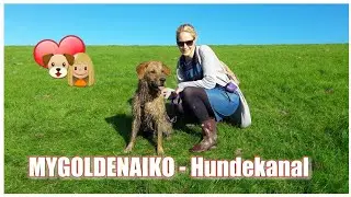 Kanaltrailer MYGOLDENAIKO - Hundekanal