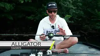 Nuove Favorite 🐊  ALLIGATOR - Presentazione