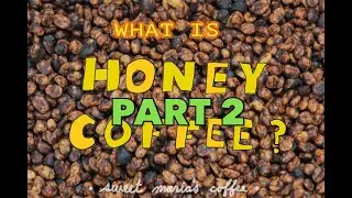 What is Honey Coffee? (Part 2)