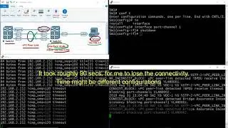 Dual Active vPC SVI