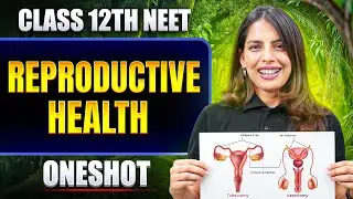 REPRODUCTIVE HEALTH in ONE SHOT | All Concept & PYQ | Basics to Advanced | Class 12 NEET