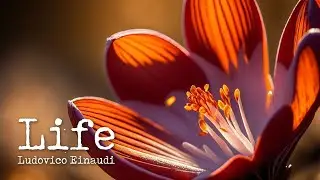 Ludovico Einaudi (In a Time Lapse ) — “Life” [Extended] (45 min.)