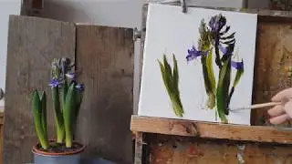 Hyacinth. Oil painting.