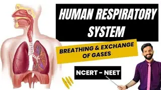 My Student cried 😭said Sir you had Throat pain 🤒 yet you took a superb lec| Human Respiratory System