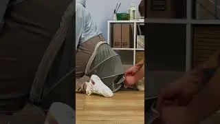 كيف تخلي قطتك تعيش زي الملكة 👑🐱 